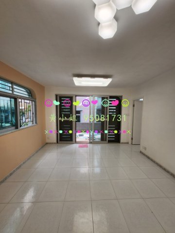 布心排  95081731