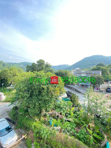 樟樹灘 @ EMILY 95080096