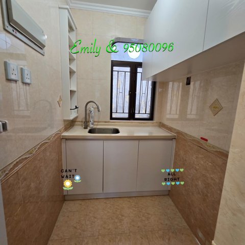 排頭村 @ EMILY 95080096