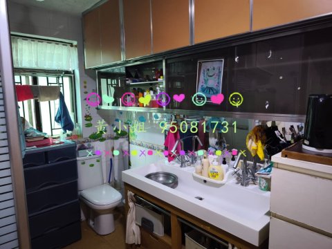 大美篤村  95081731
