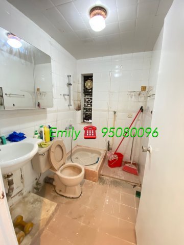 大圍新村 @ EMILY 95080096