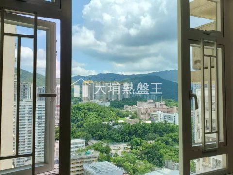 大埔廣場  