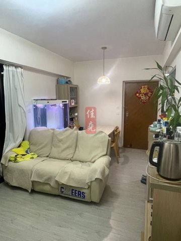 顯峰 上水 高層 005677 售盤