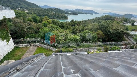 早禾居 柏文