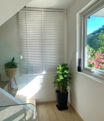桐梓圍下村