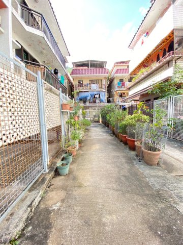 下禾輋村 @ EMILY 95080096