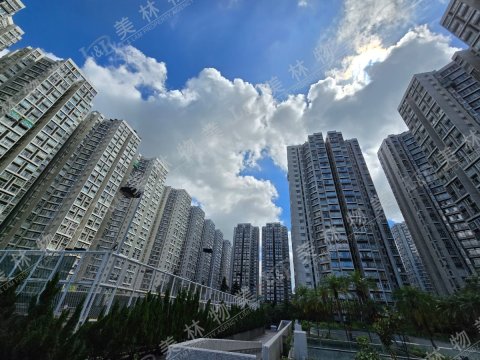 llam.com.hk
