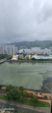 河畔花園 @ EMILY 95080096