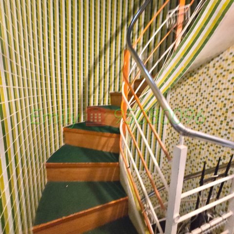 火炭村 @ EMILY 95080096