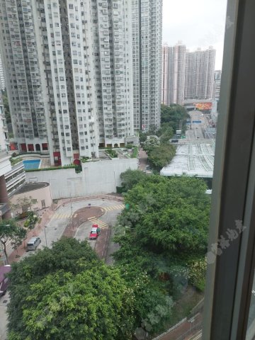 翠豐台 翠豐台