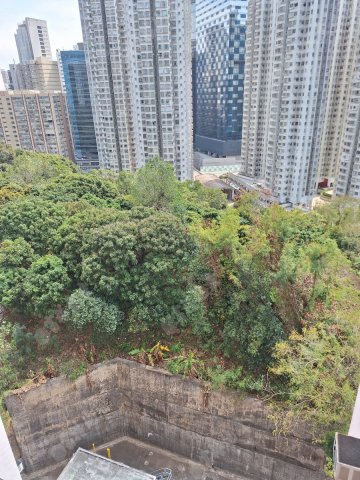 荃灣中心