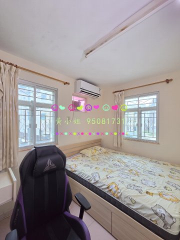 林村新村  95081731