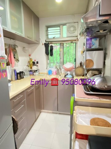 上禾輋村 @ EMILY 95080096