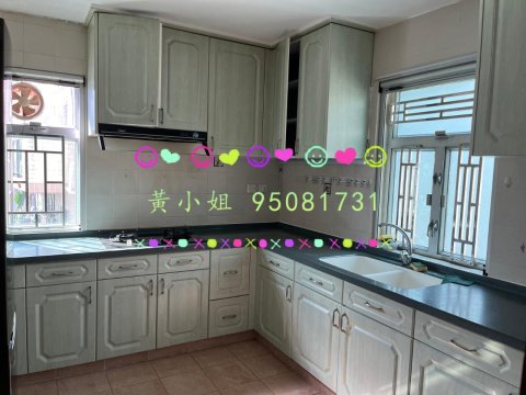 龍尾村   95081731