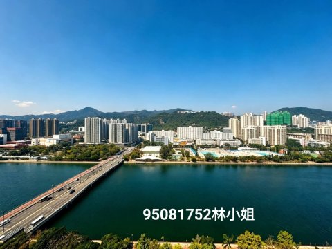 河畔花園 C座