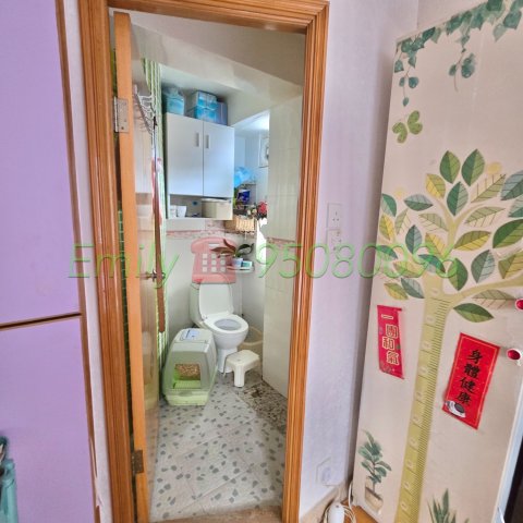 火炭村 @ EMILY 95080096