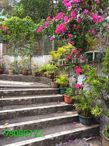牛皮沙新村