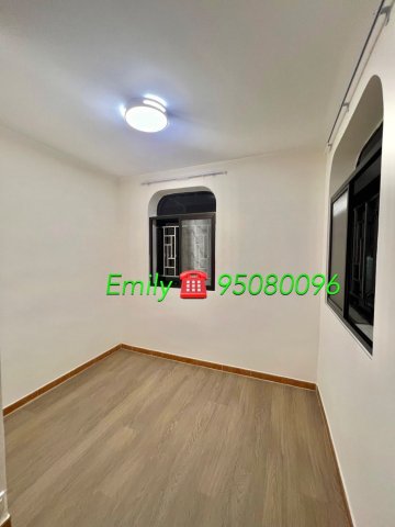 沙田圍舊村 @ EMILY 95080096