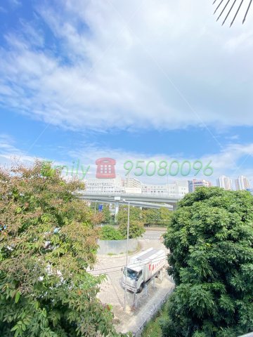 多石村 @ EMILY 95080096