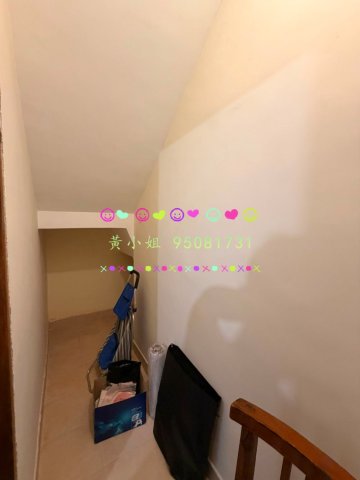 大尾督村   95081731