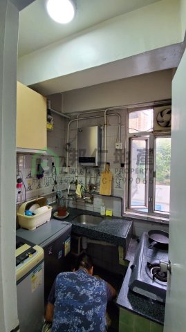 金獅花園 第01期 E座 金輝閣