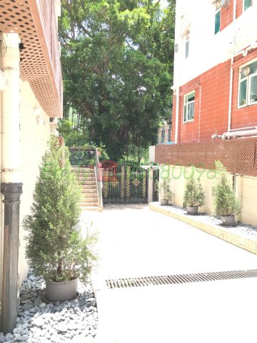 李屋村 沙田豪苑 @ EMILY 95080096