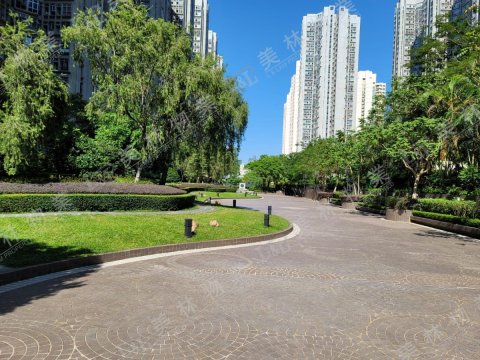 llam.com.hk