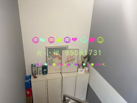 荔枝山   95081731