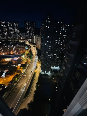 金獅花園 第02期 D座 金寧閣