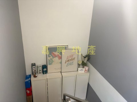 荔枝山  95080030