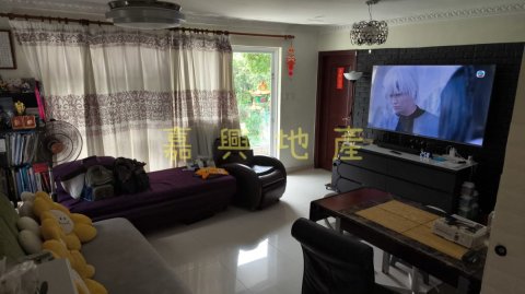 半山洲  95081731