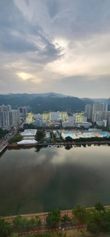河畔花園 C座