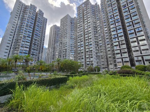 llam.com.hk