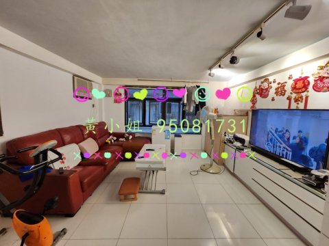 蘆慈田   95081731