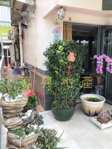 山頂花園 95080030