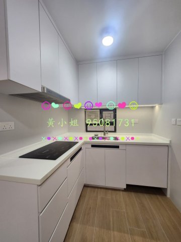 汀角村   95081731