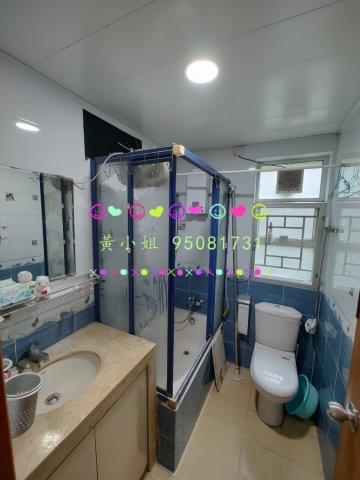 洞梓  95081731