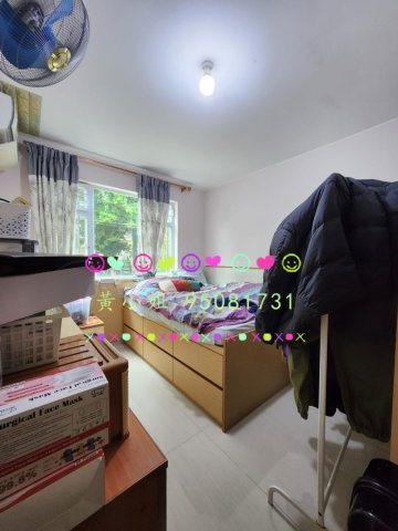 龍尾村  95081731