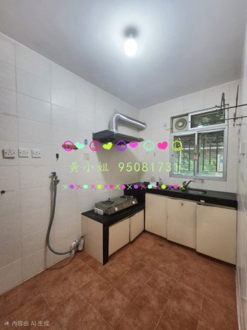 95081731   95081731