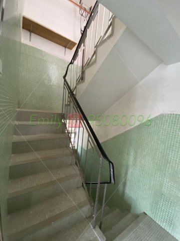 沙田圍舊村 @ EMILY 95080096