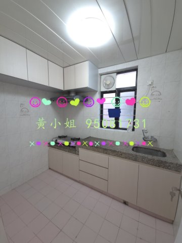 新屋家村   95081731