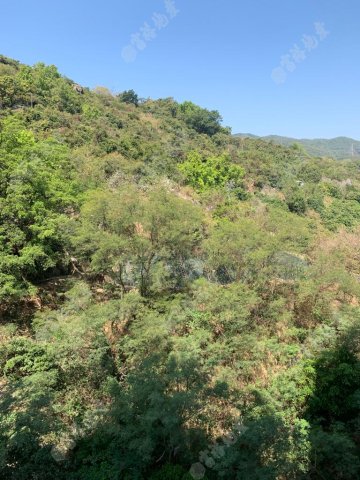 荃威花園 荃威花園