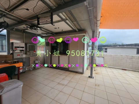 桐梓圍下村  95081731