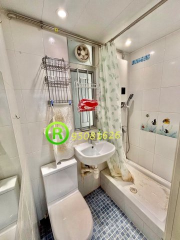 河畔花園 95081626