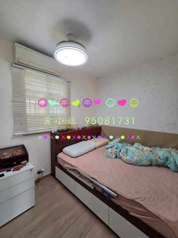 雅麗山莊    95081731