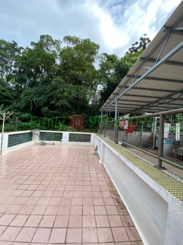 沙田圍舊村 @ EMILY 95080096