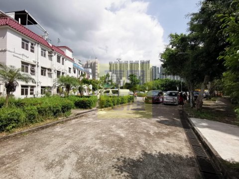 大圍新村 @ EMILY 95080096