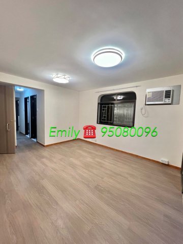 沙田圍舊村 @ EMILY 95080096