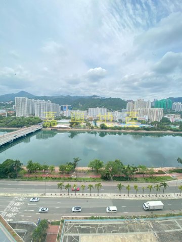 河畔花園 D座**Annie 95081767