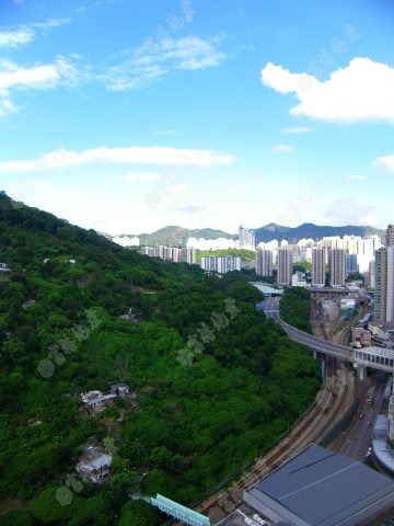 荃景花園